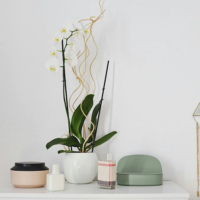 Créer une ambiance unique avec une déco de mariage aux inspirations orientales