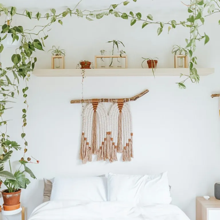 Comment choisir une décoratrice d'intérieur pour vos murs : conseils et prix