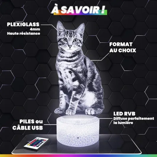 Lampephoto.fr - Lampe 3D Hibou Décoration Collection Animal Sauvage Idée Cadeau Homme Femme Objet Veilleuse Adulte, Idée Cadeau Fan Animaux de la Forêt, Effet Hologramme