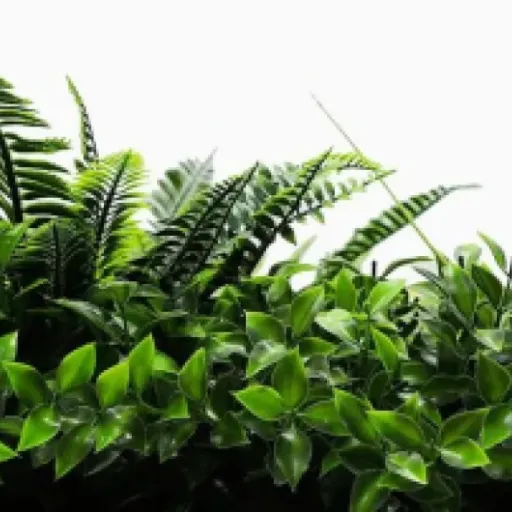 Test SYNTHAIETIK Lot de 5 Murs Artificiels Jungle : le faux mur végétal qui cache bien la misère
